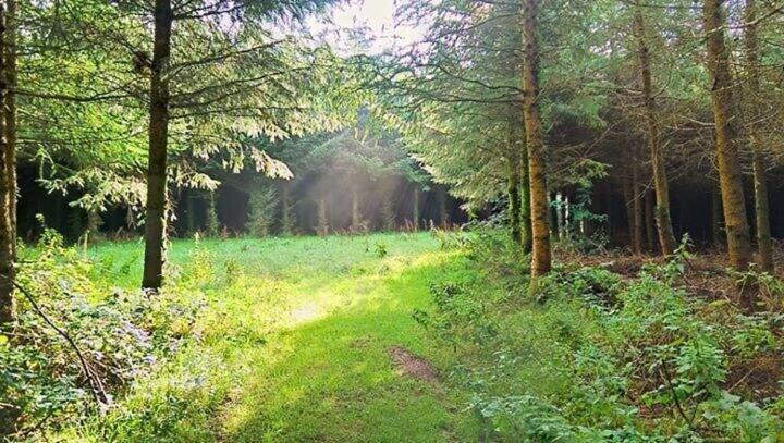 Lobhill Farmhouse Bed And Breakfast And Self Catering Accommodation Okehampton Camera foto