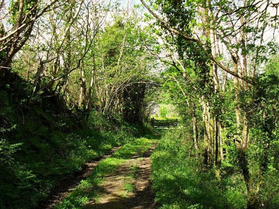 Lobhill Farmhouse Bed And Breakfast And Self Catering Accommodation Okehampton Camera foto